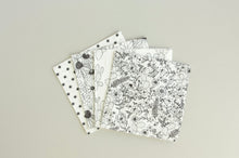 Load image into Gallery viewer, Southwest Mismatched Napkins - White - Set of 4 - Everyday - Cocktail
